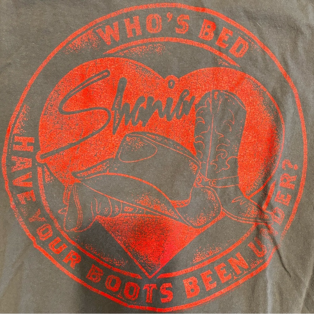 Shania Twain Concert Tee Distressed Tshirt Medium Vintage Look